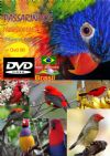 DVD 06 - P�ssaros Livres - Sons P�ssaros Brasil